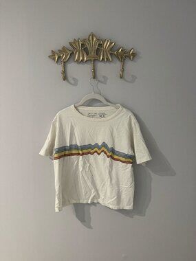 Patagonia vintage looking cropped tee